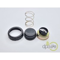 KIT REPARATIE POMPA AMORSARE