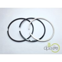 SEGMENTI MOTOR