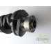 ARBORE MOTOR