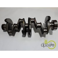 ARBORE MOTOR