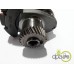 ARBORE MOTOR