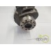 ARBORE MOTOR