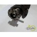 ARBORE MOTOR