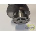 ARBORE MOTOR