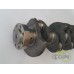 ARBORE MOTOR