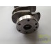 ARBORE MOTOR