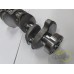 ARBORE MOTOR
