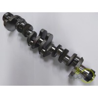 ARBORE MOTOR