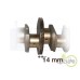 ARBORE MOTOR