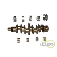 ARBORE MOTOR