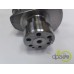 ARBORE MOTOR