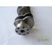 ARBORE MOTOR