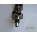 ARBORE MOTOR