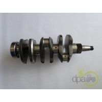 ARBORE MOTOR