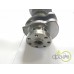 ARBORE MOTOR