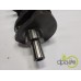 ARBORE MOTOR
