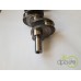 ARBORE MOTOR