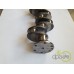 ARBORE MOTOR