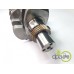ARBORE MOTOR