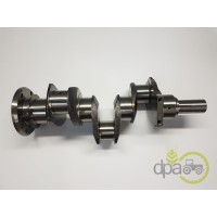 ARBORE MOTOR