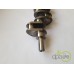 ARBORE MOTOR