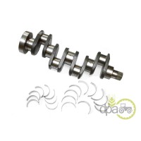 ARBORE MOTOR