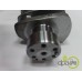 ARBORE MOTOR