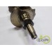 ARBORE MOTOR