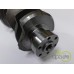 ARBORE MOTOR