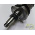 ARBORE MOTOR