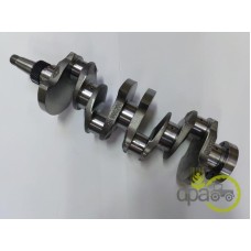 ARBORE MOTOR