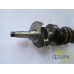 ARBORE MOTOR