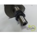 ARBORE MOTOR