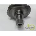 ARBORE MOTOR