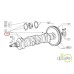ARBORE MOTOR 8065.02