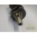 ARBORE MOTOR