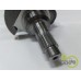 ARBORE MOTOR