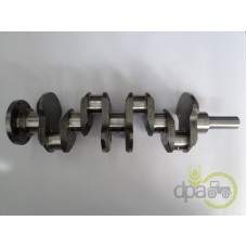 ARBORE MOTOR