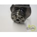 ARBORE MOTOR