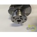 ARBORE MOTOR