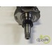 ARBORE MOTOR