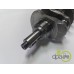 ARBORE MOTOR