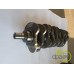 ARBORE MOTOR