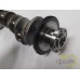 ARBORE MOTOR