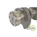 ARBORE MOTOR