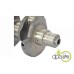 ARBORE MOTOR