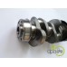 ARBORE MOTOR