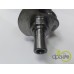 ARBORE MOTOR