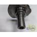 ARBORE MOTOR