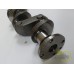 ARBORE MOTOR